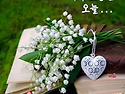 5월 23일 금요일 출석합니다