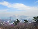 여수영취산 진달래 꽃구경