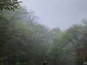 모악산 정기산행[250420..