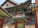 봄을 만끽하며