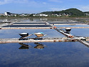 경기도 안산 서해랑길 무박