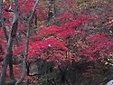설악산 공룡능선