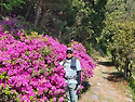 여수하화도