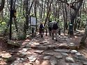 경주 금호산 산행