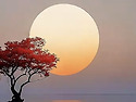 봐도 또 보고싶어 ~~어