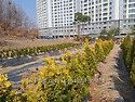 에메랄드그린150-200 4..