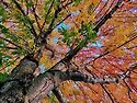 🍂입추(立秋)..