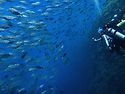 Palau 🇵