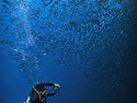 Palau 🇵