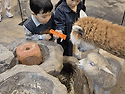태리 태오와 동물원
