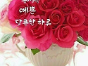 즐거운 오늘 되세요