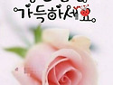 인생의 등불