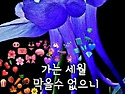 [국가보훈처] 6.25전쟁, ..