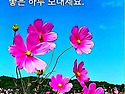 가고 오는 세월