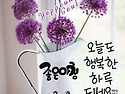 지상 최대의 서커스