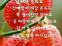 누나 것 입니다