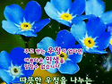 이시형 박사 노년 필수 음..