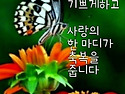 요양원에 버려진 어느 어머..