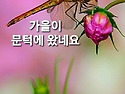 마음의 길