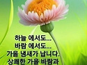 꽃길만 걸으소서 사랑합니..