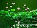 소림 건강 보감