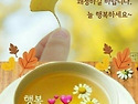 한국군 최대의 대승