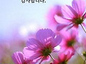 변함없는 마음으로 안부를..