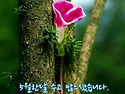상큼한 아침