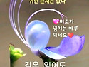 길은 잃어도 사람은 잃지말..