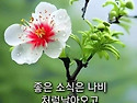 오늘도 행복 하세요