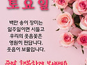 주말 행복 하세요