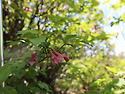 축령산