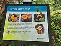 월악산