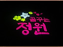 정선 화암동굴 탐방(2025.08.03)