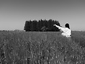군산 옥녀교차로 보리밭