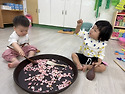 260625 나무주걱으로 두드려요/ 초록..