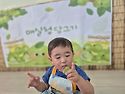 250627 매실청 담그기