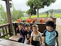 250917 단산포도농장에 왔어요