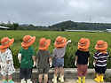 250917&#127815;단산 포도마을 다
