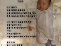 시화전4