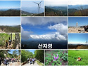 2025년5월1일 선자령-초막교 정기산행