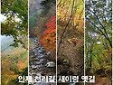 2025년6월5일 북설악 비밀의 계곡 새이령길 트레킹