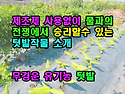 제초제 사용없이 풀과의 ..