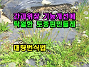 간과위장 기능개선에 탁월..