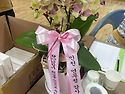 창정 81주년 및 9단 명궁 축하 행사