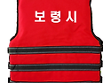 보령시