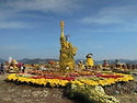 마산국화축제