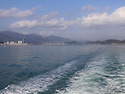 완도 '靑山島 단풍길 소풍' [25. 1..