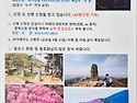 631회 정기산행 4월 26일 달성 비슬산