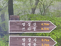 방장산 두릅 줍줍